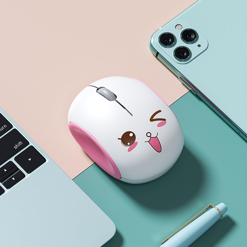 Wireless portable silent mouse