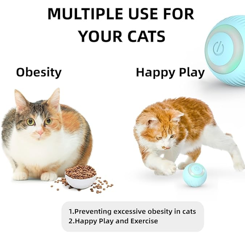 Cat Interactive Smart Ball