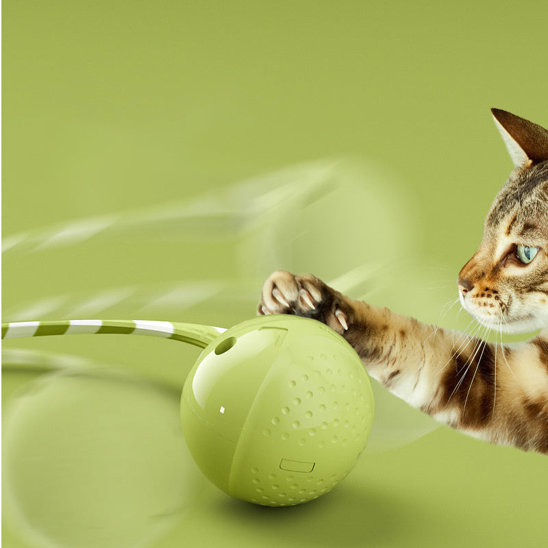 Cat Ball Toys Interactive Electric Balls Pet Toy Motion Activate Ball Toy With Touch Sensor Pet Supplies Cat Playing Accessories